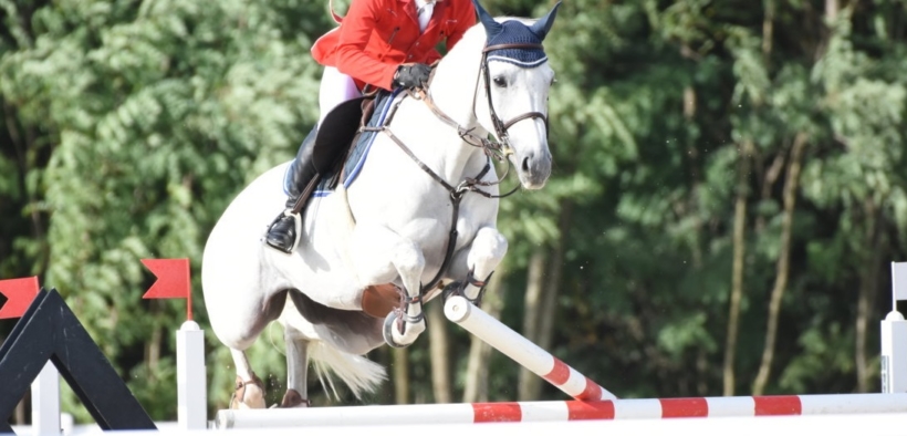 Salto ostacoli: quando a cadere è l'informazione