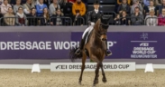 Coppa del Mondo Dressage: Jessica von Bredow-Werndl e Dalera trionfano a Neumünster