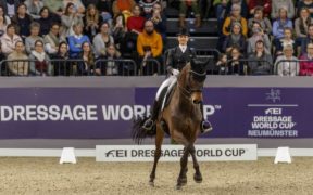 Coppa del Mondo Dressage: Jessica von Bredow-Werndl e Dalera trionfano a Neumünster