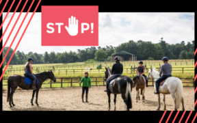 Coronavirus: sospesi non solo gli eventi, ma anche le attività in maneggio