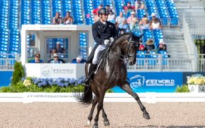 Dressage: sospeso Pierluigi Sangiorgi, cavallo positivo al doping