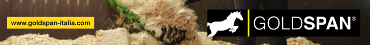 goldspan_728x90