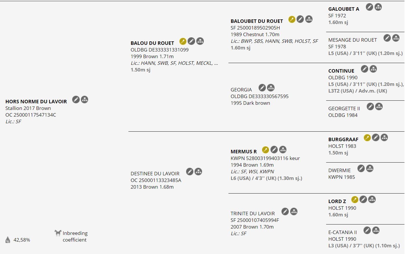 Hors Norme du Lavoir campione tra gli stalloni Selle Français