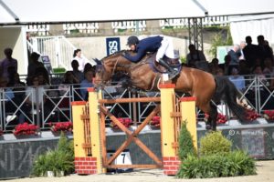 Il leggendario Verdi TN ritirato dallo sport 1