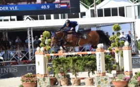 Il leggendario Verdi TN ritirato dallo sport