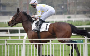 Ippodromo di San Siro: pesanti incertezze e problemi