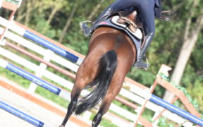 Nuovo Regolamento Nazionale Salto Ostacoli, in vigore dal 2 marzo