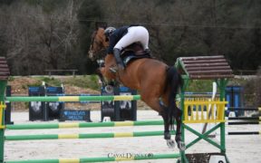 Salto ostacoli: La FEI annulla per irregolarità alcune gare qualificanti disputate in Francia e Siria