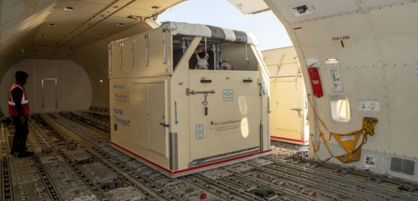 [video] Pronti a decollare i cavalli degli azzurri per Doha! 1