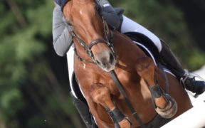 Appello allo stop per tutti i concorsi fino a fine aprile di EEF e IJRC