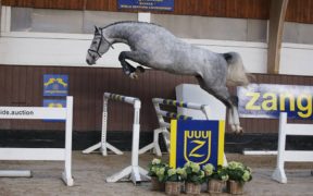 Approvato il clone Cumano Alpha Z