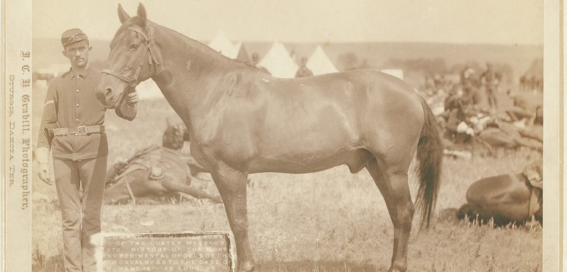 Comanche: il cavallo sopravvissuto alla battaglia di Little Big Horn