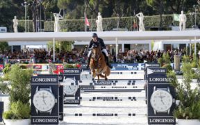 Coronavirus, appello: "Urge piano Marshall per salvare i cavalli" 1