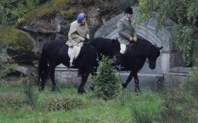 Coronavirus, la regina Elisabetta trasferisce i suoi cavalli in un luogo più sicuro