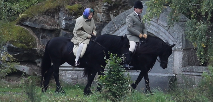 Coronavirus, la regina Elisabetta trasferisce i suoi cavalli in un luogo più sicuro