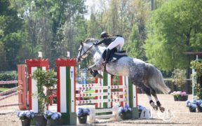 FISE informa: stop alle manifestazioni regionali e nazionali fino al 26 aprile