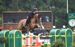 Gaudiano pone le difficoltà in una prospettiva comunque proficua