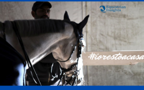 #iorestoacasa anche per proteggere chi in scuderia lavora per noi