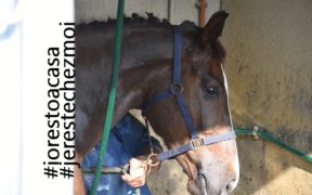 Je reste chez moi: gli equestrians francesi come gli italiani