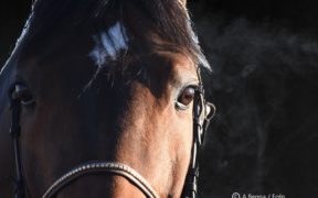 Le nostre vite sospese dal virus: dobbiamo pensare in avanti