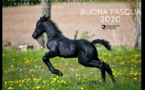 Auguri, nonostante sia una Pasqua 2020 assai difficile...