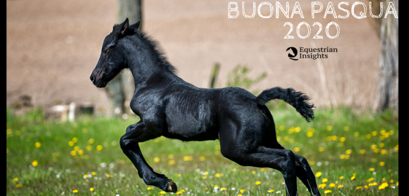 Auguri, nonostante sia una Pasqua 2020 assai difficile...