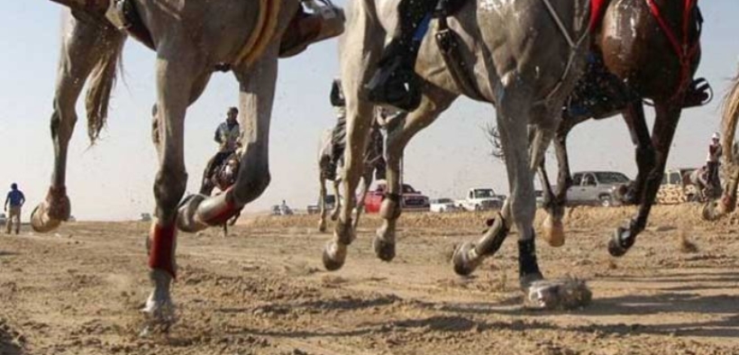 Capezzine ed imboccature troppo severe nell'endurance: interviene il Tribunale FEI