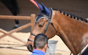 Centri Ippici e soci confusi dalle ultime comunicazioni FISE