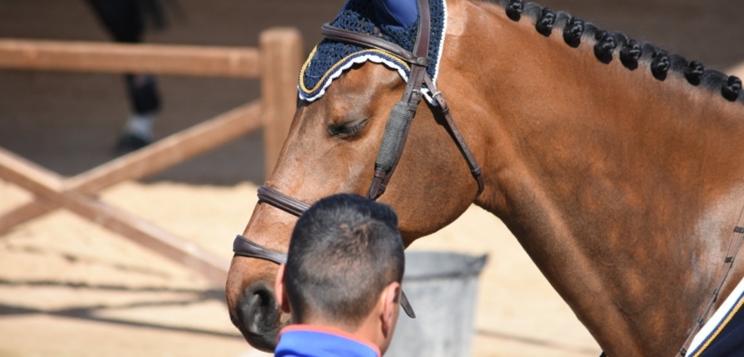 Centri Ippici e soci confusi dalle ultime comunicazioni FISE