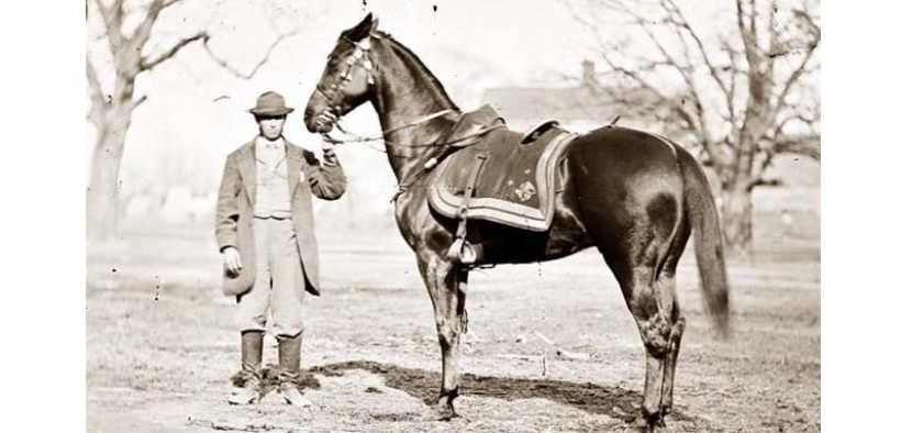 Cincinnati contra Traveller: destrieri rivali nella Guerra di secessione 2