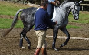 Ecco il decreto attuativo relativo all'indennità per collaboratori sportivi ("Cura Italia")