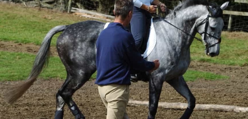 Ecco il decreto attuativo relativo all'indennità per collaboratori sportivi ("Cura Italia")