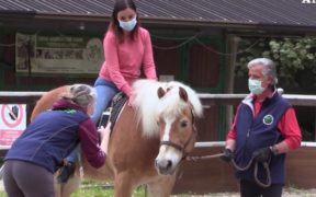 Horse Therapy per ridurre lo stress degli operatori sanitari [video]