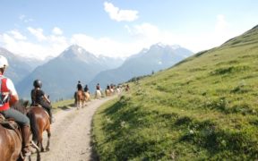 L'On. Spadafora incontra i presidenti delle Discipline Sportive Associate