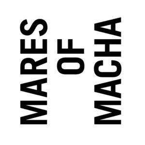 Mares of Macha, fattrici d'eccellenza: scopriamo di più