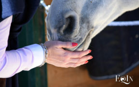 Sport Equestri, prorogate le misure di contenimento del contagio