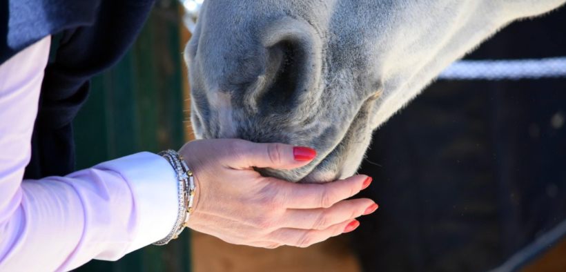 Sport Equestri, prorogate le misure di contenimento del contagio