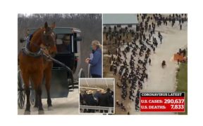 Un'asta equestre assembra più di 600 persone in Iowa, nonostante la pandemia