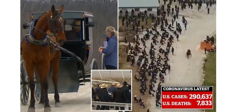 Un'asta equestre assembra più di 600 persone in Iowa, nonostante la pandemia