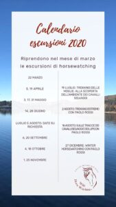 Cavalli selvaggi dell'Aveto, via libera per le escursioni