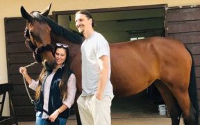 Che trio! Ibrahimovic, Del Signore e Grande Dieni