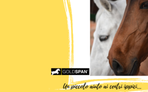 #Distantimauniti: Goldspan dona lettiere ai centri ippici