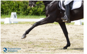 Dressage: partecipazioni agli internazionali anche senza qualifiche
