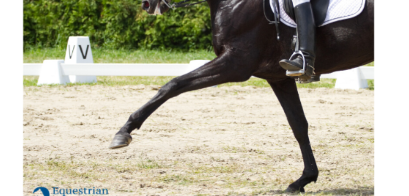 Dressage: partecipazioni agli internazionali anche senza qualifiche