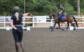 Fase 2, in scuderia con giudizio: seguiamo le linee guida