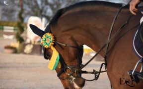 FEI: le competizioni ripartono il 1° luglio. FISE indica un calendario 1