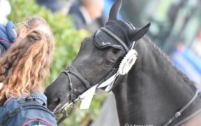 I concorsi in Germania ripartono… online