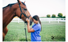 Il cavallo che ci aiuta: con attività mirate, per molti indispensabili