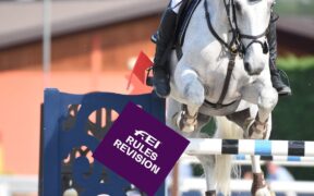 Il rinvio delle Olimpiadi non cambia l'entrata in vigore dei divieti FEI sulle stinchiere