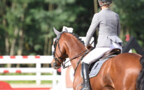 In Inghilterra si torna in gara da giugno, ecco come